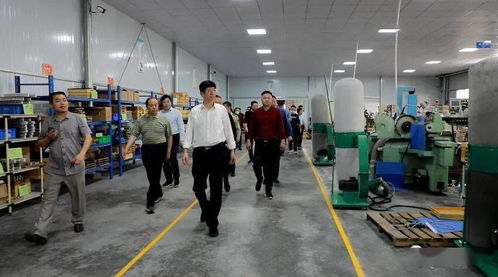 全县乡村振兴工作现场推进会召开 技术转让助力乡村产业升级